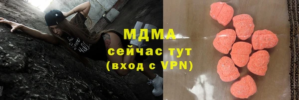 СК Алексин