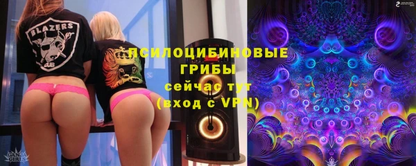 СК Алексин