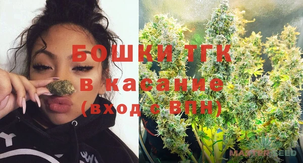 СК Алексин