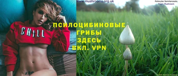 дмт Алексеевка