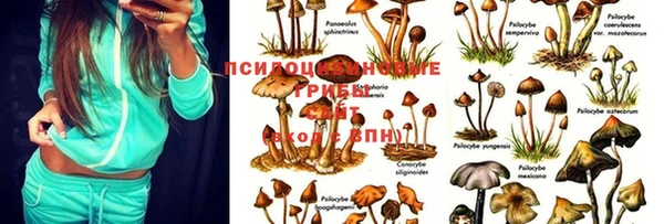 марки nbome Алзамай