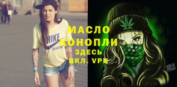 дмт Алексеевка
