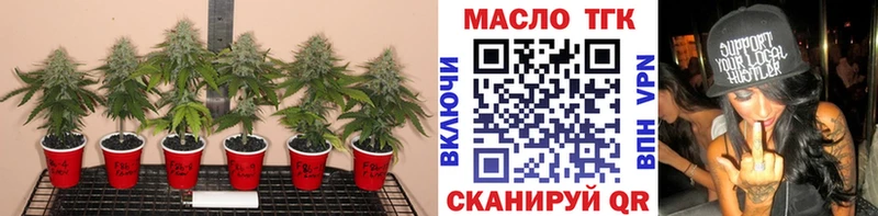 Дистиллят ТГК THC oil  мега вход  Углич 
